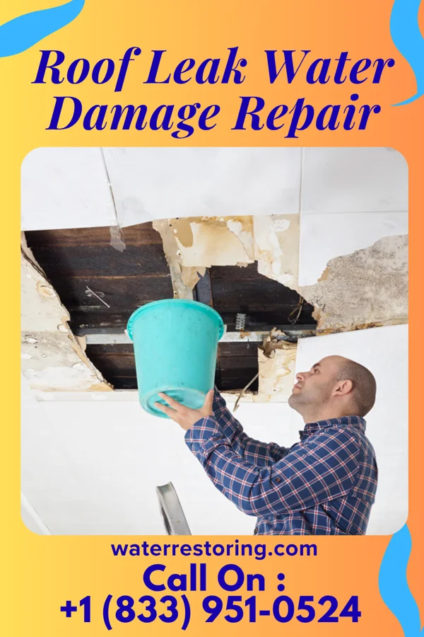 Roof Leak Water Damage Repair in Naples, SD
